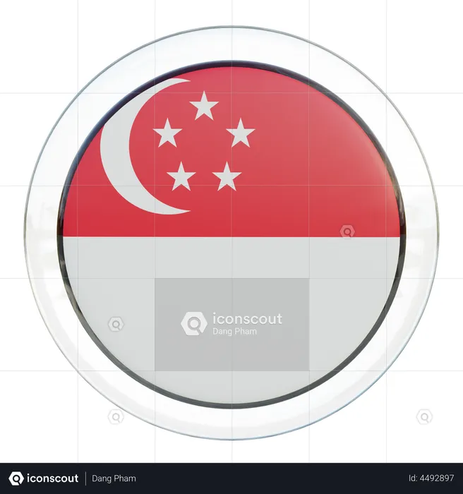 Singapore Flag Flag 3D Flag