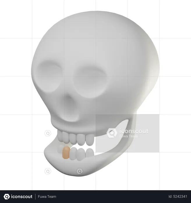 Skull  3D Icon