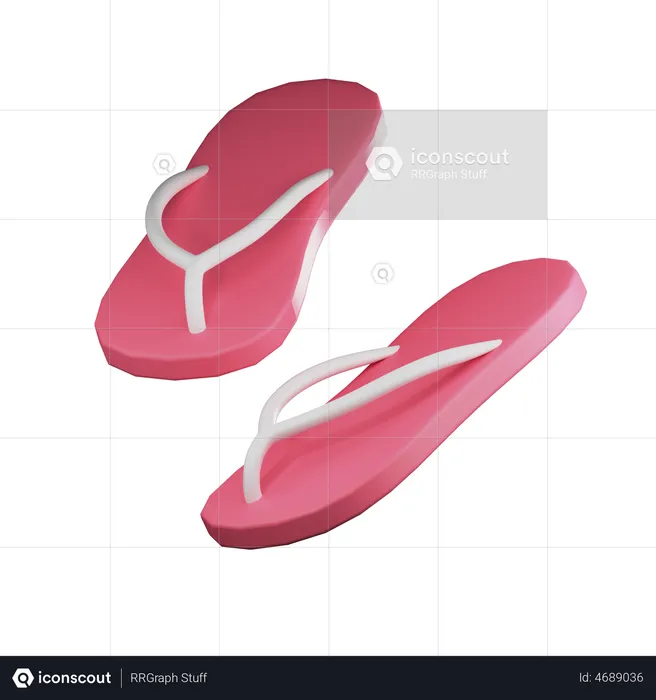 Slipper  3D Illustration