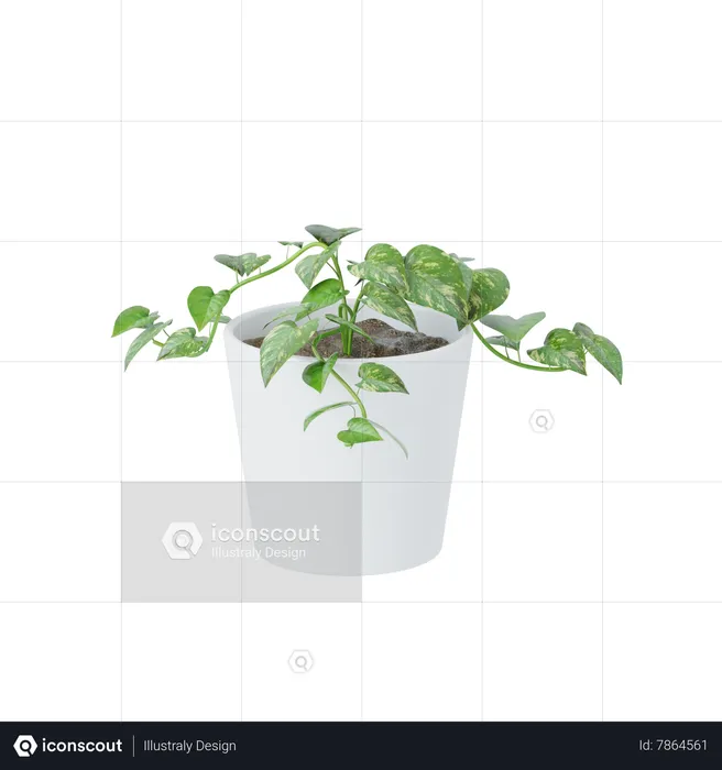 Small Plant  3D Icon