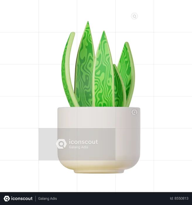 Snake Plant  3D Icon