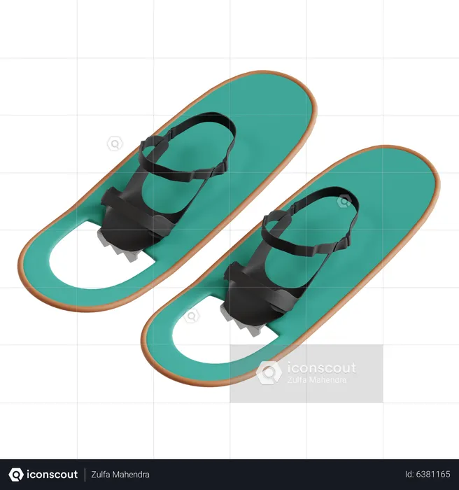 Snowshoeing  3D Icon