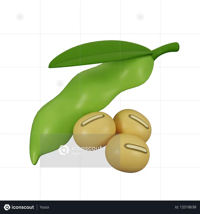 Soja  3D Icon