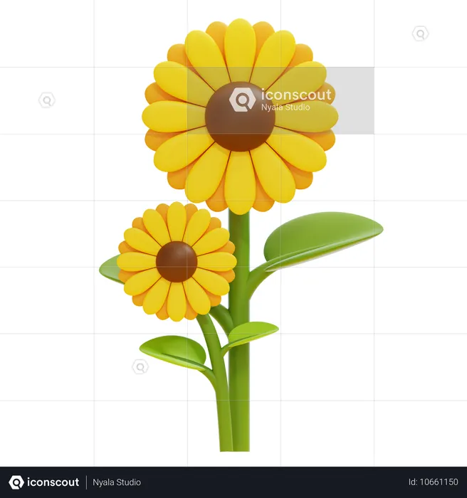 Sonnenblume  3D Icon