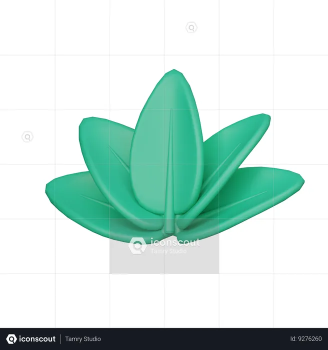 Spa Flower  3D Icon