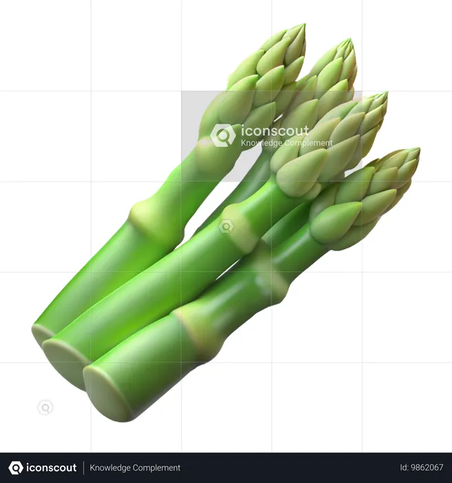 Spargel  3D Icon