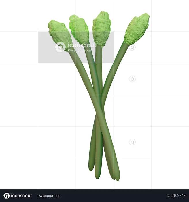 Spargel  3D Icon