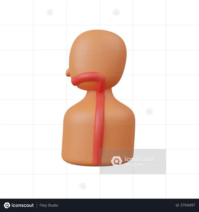 Speiseröhre  3D Icon