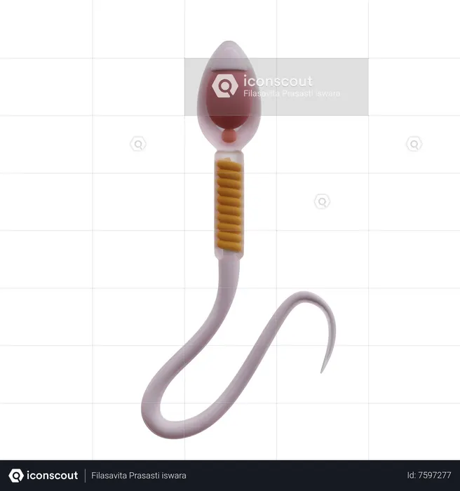 Sperm  3D Icon