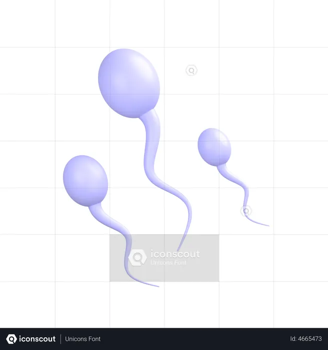 Sperm  3D Icon