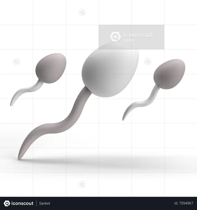 Sperm  3D Icon