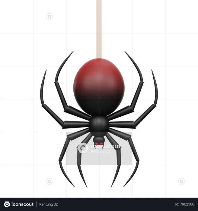 Spider  3D Icon