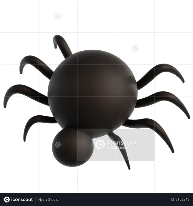 Spider  3D Icon