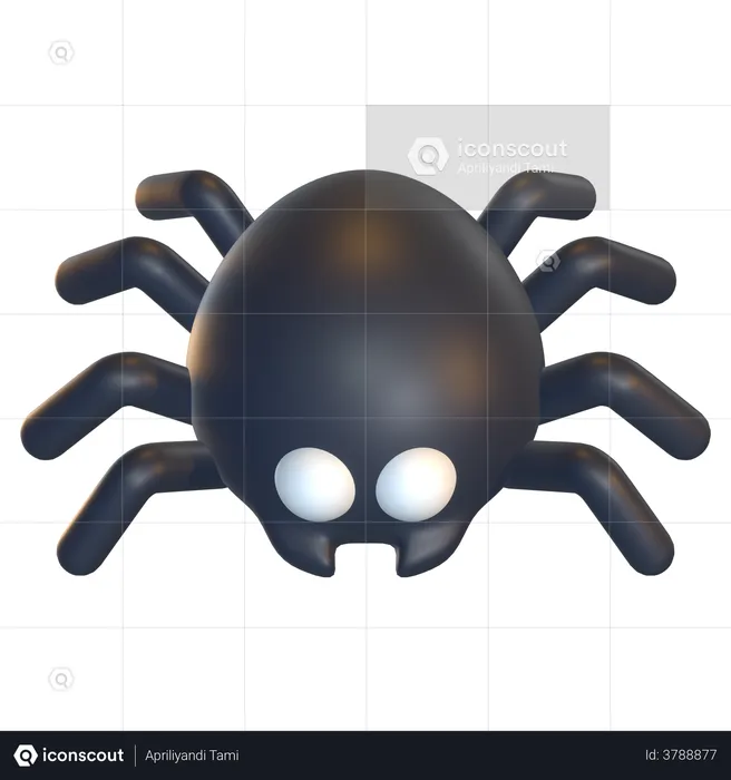 Spider  3D Illustration