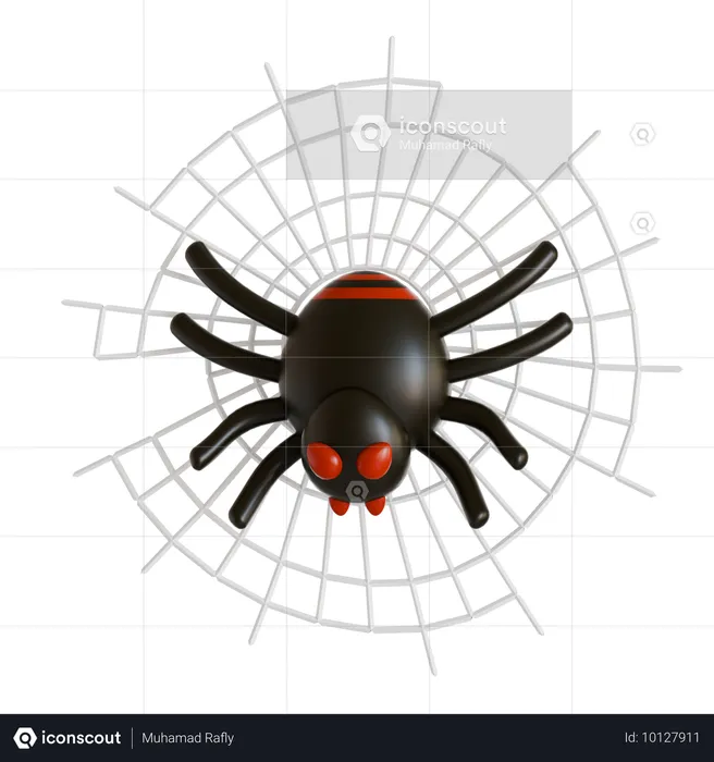 Spider Web  3D Icon