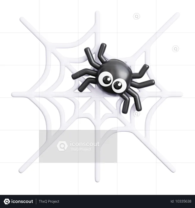 Spider Web  3D Icon