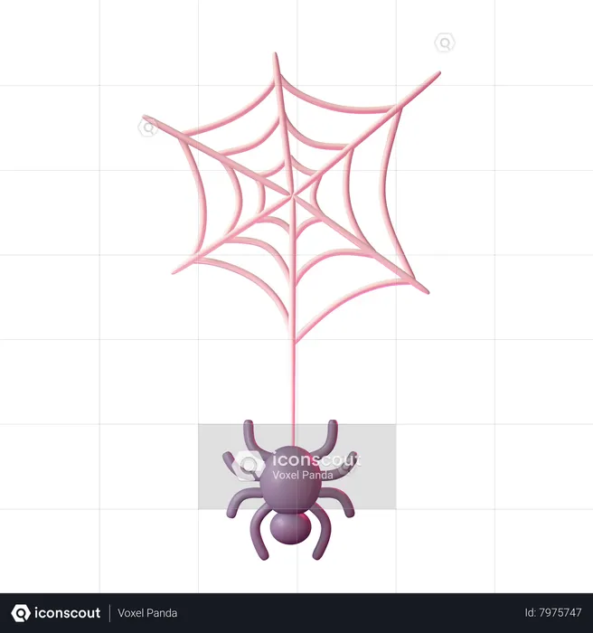 Spider Web  3D Icon