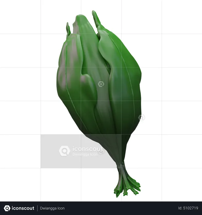 Spinach  3D Icon