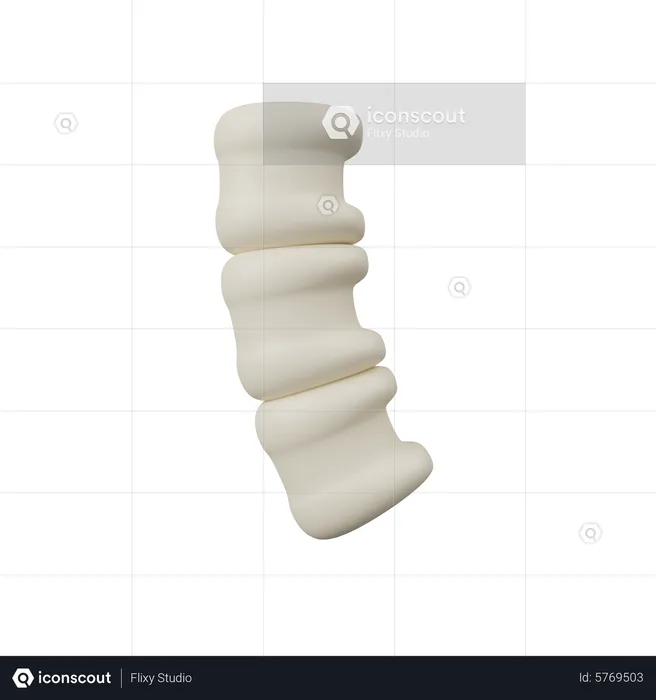 Spine  3D Icon