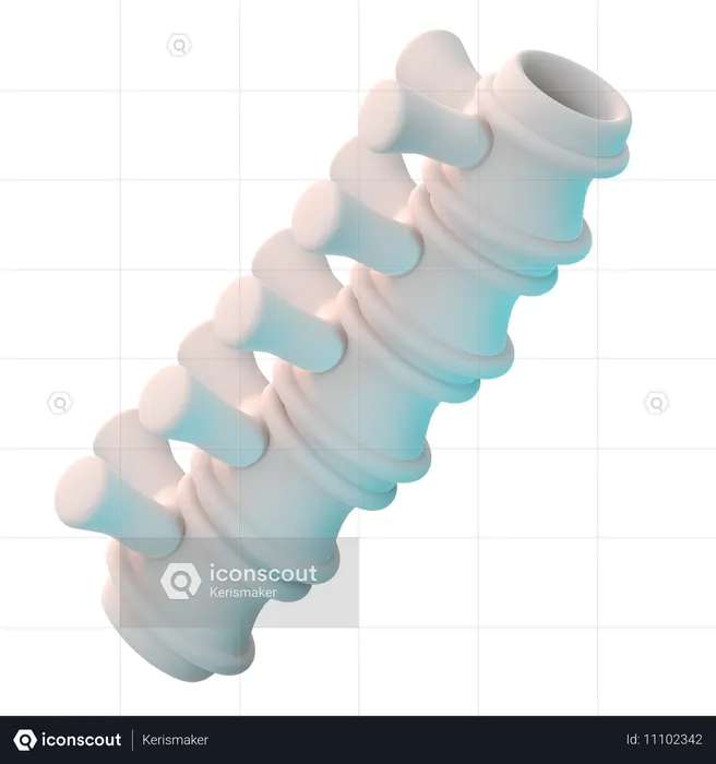 Spine  3D Icon