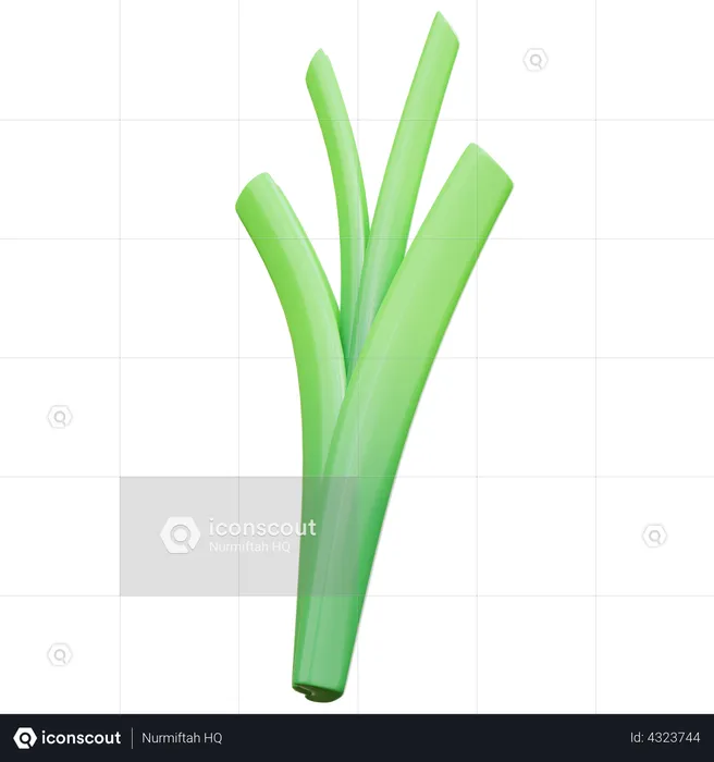 Spring Onion  3D Illustration