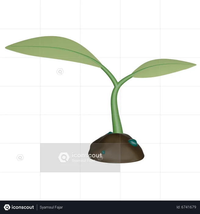 Sprout  3D Icon