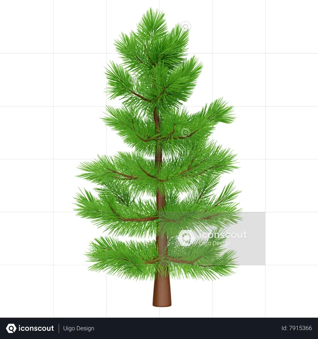 Spruce Tree  3D Icon