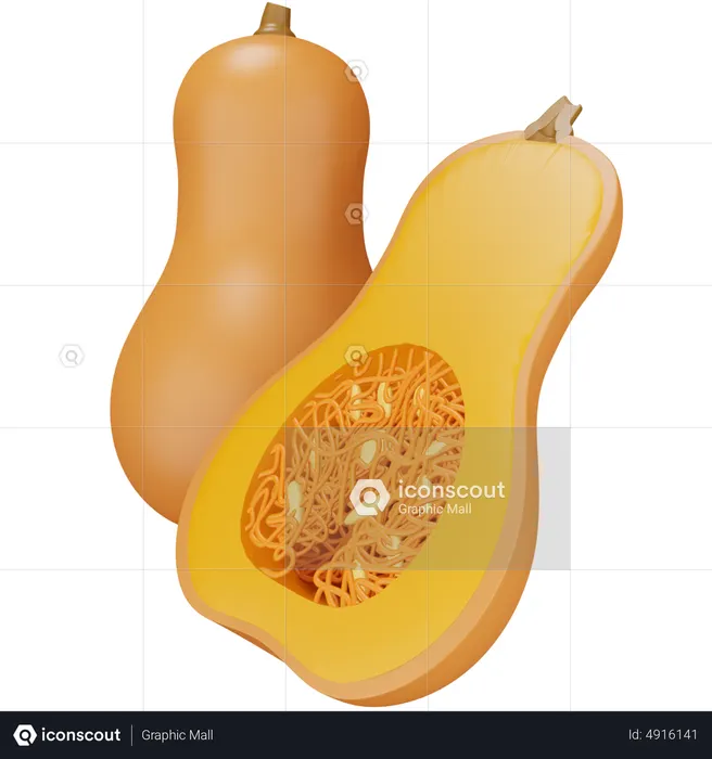 Squash  3D Icon