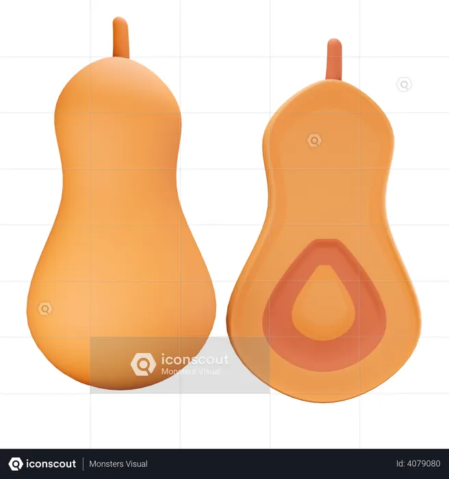Squash  3D Illustration