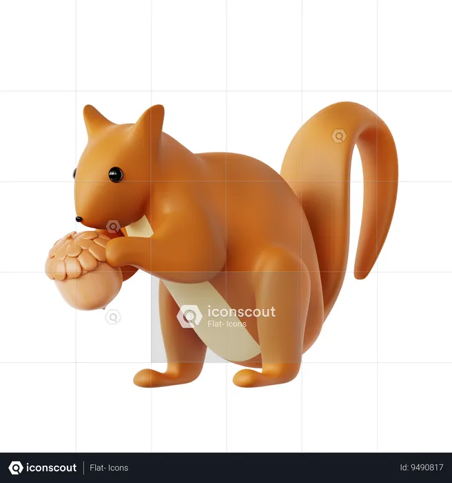 Squirrel  3D Icon