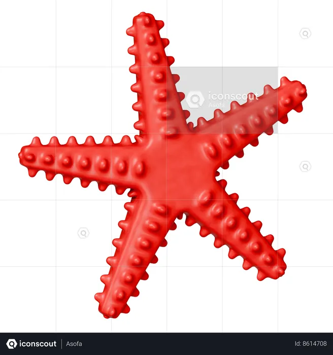 Star Fish  3D Icon