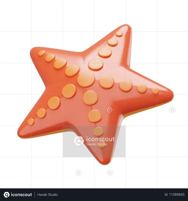 Starfish  3D Icon