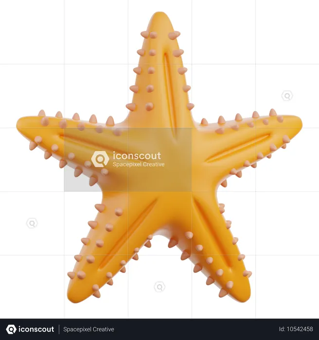 Starfish  3D Icon