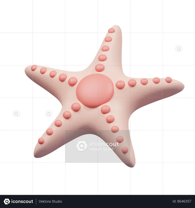Starfish  3D Icon