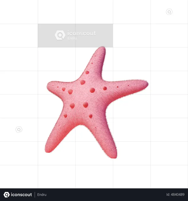Starfish  3D Icon