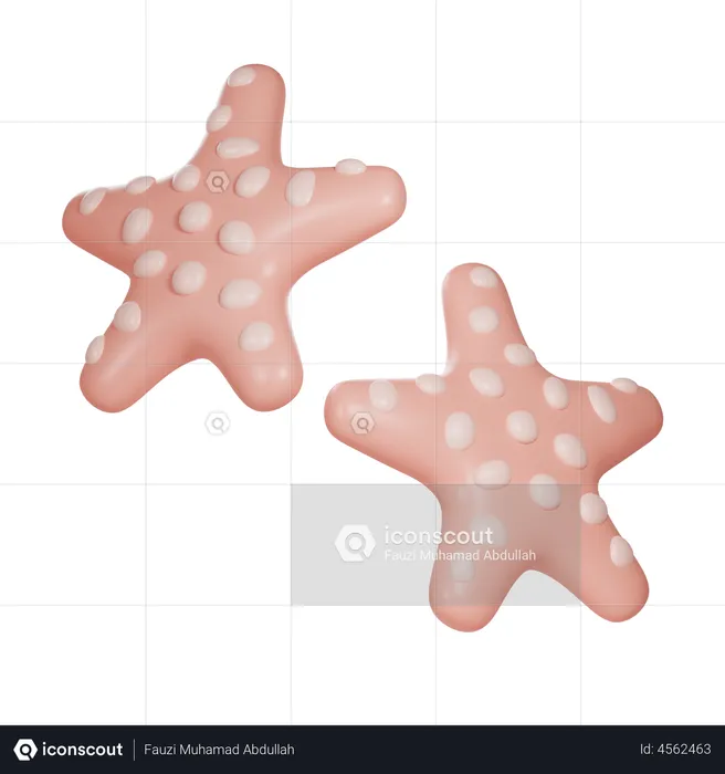 Starfish  3D Illustration