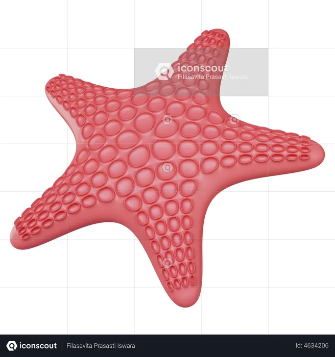 Starfish  3D Illustration