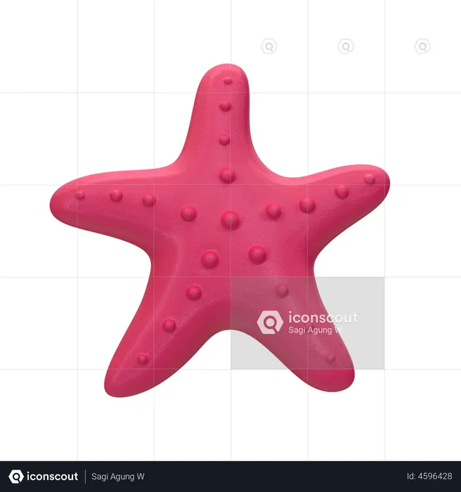 Starfish  3D Illustration