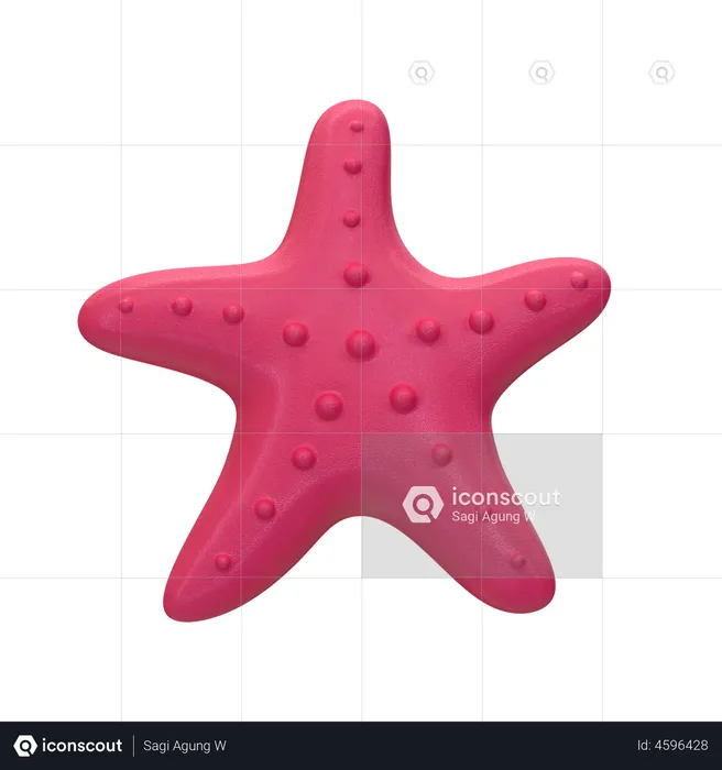 Starfish  3D Illustration