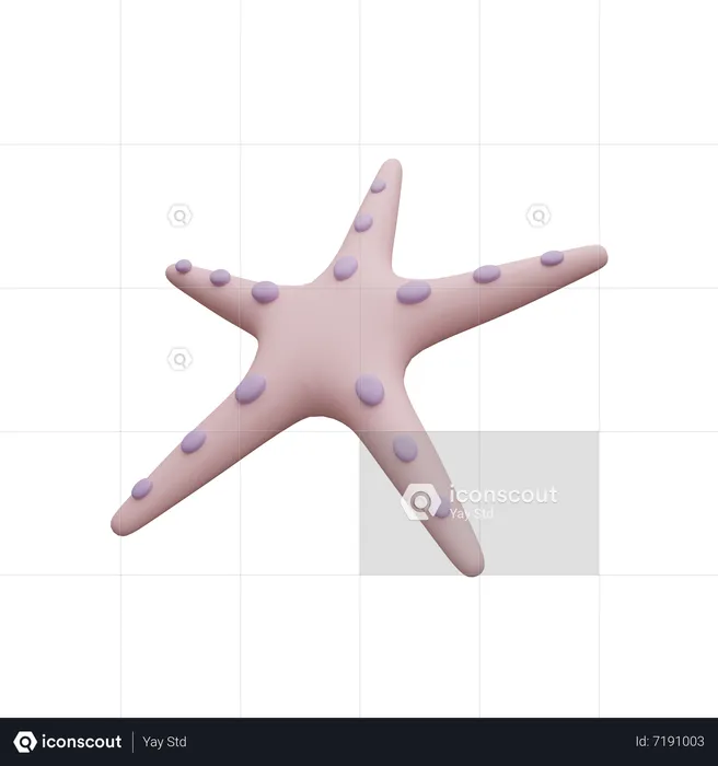 Starfish  3D Icon