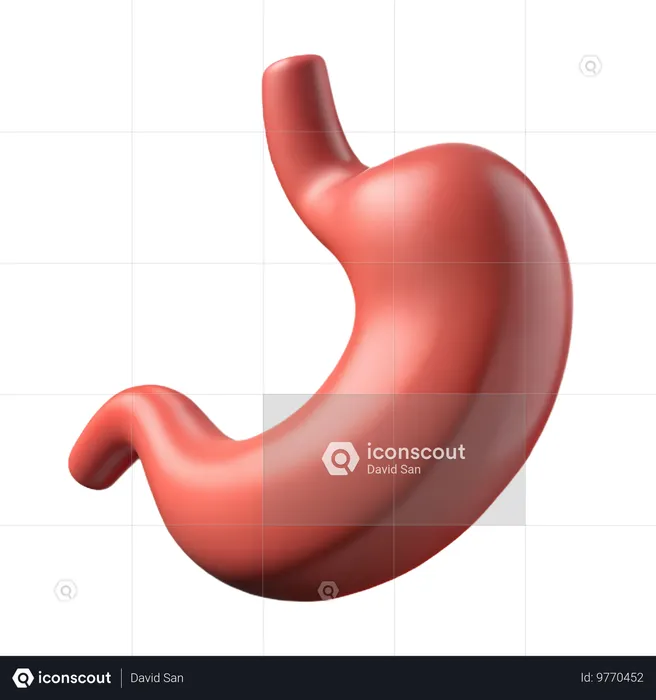 Stomach  3D Icon