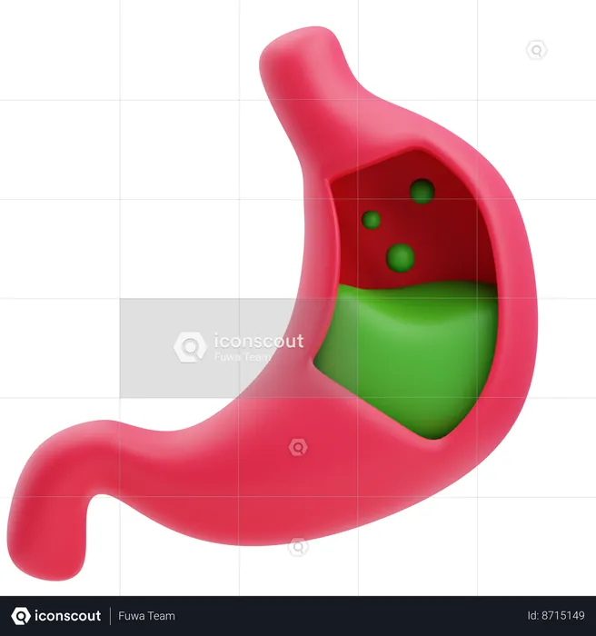 Stomach  3D Icon