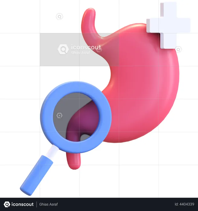 Stomach Checkup  3D Illustration