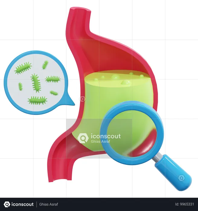 Stomach Inspection  3D Icon