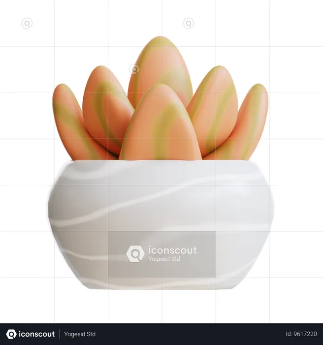 Succulent Plant  3D Icon