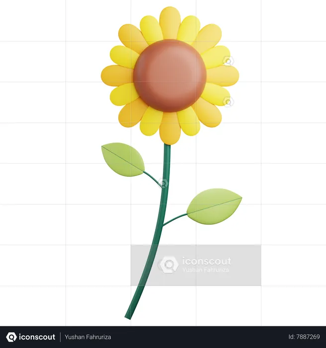 Sun Flower  3D Icon