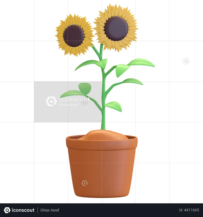 Sun flower in pot icon  3D Illustration