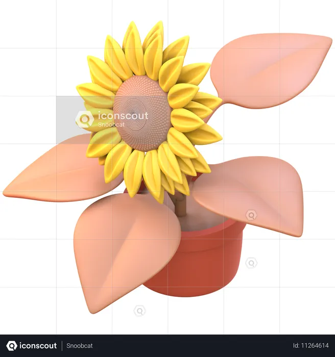 Sunflower  3D Icon