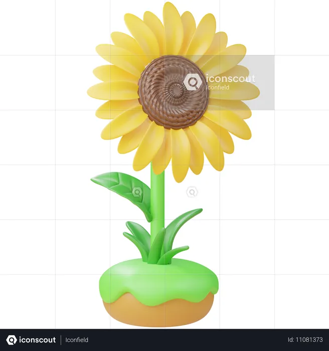 Sunflower  3D Icon