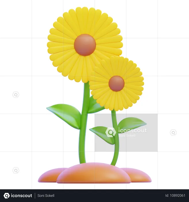 Sunflower  3D Icon